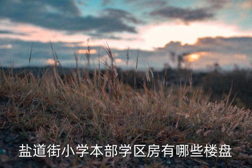 盐道街小学本部学区房有哪些楼盘