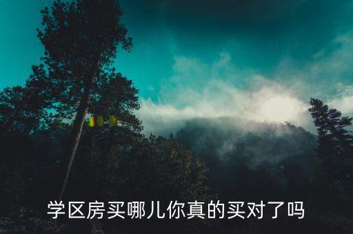 学区房买哪儿你真的买对了吗