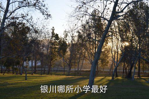 银川哪个小学学区房最好，银川哪所小学最好