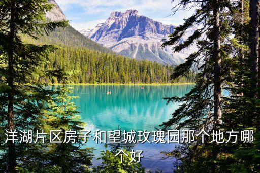 洋湖片区房子和望城玫瑰园那个地方哪个好