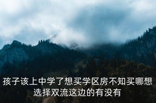 孩子该上中学了想买学区房不知买哪想选择双流这边的有没有