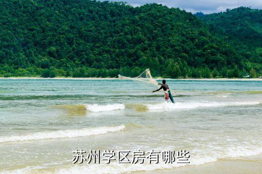 海河大厦学区房有哪些，苏州学区房有哪些