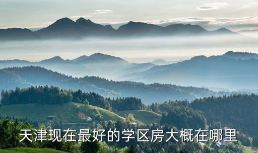 天津现在最好的学区房大概在哪里