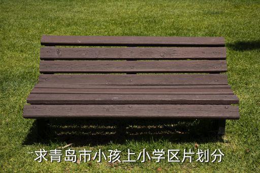 求青岛市小孩上小学区片划分