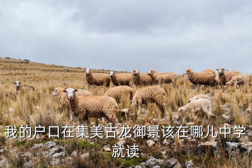 我的户口在集美古龙御景该在哪儿中学就读