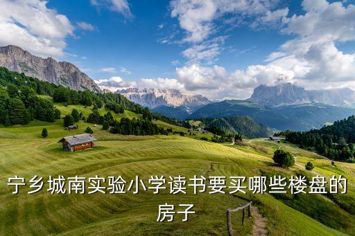 宁乡城南实验小学读书要买哪些楼盘的房子