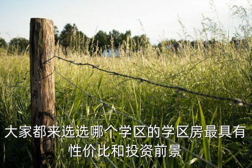 大家都来选选哪个学区的学区房最具有性价比和投资前景