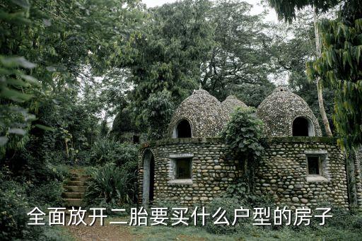 全面放开二胎要买什么户型的房子