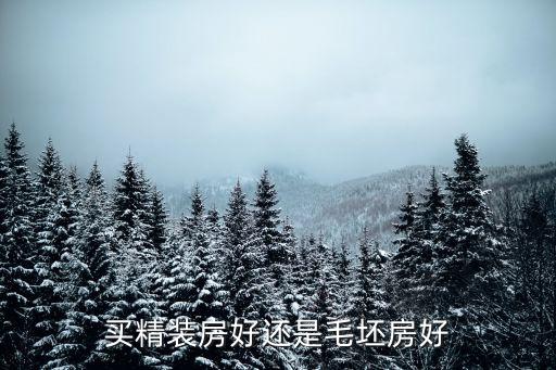 买精装房好还是毛坯房好