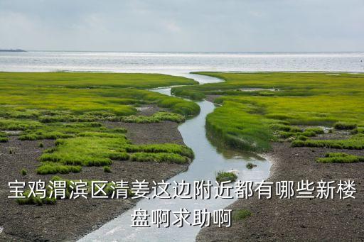 宝鸡渭滨区清姜这边附近都有哪些新楼盘啊求助啊