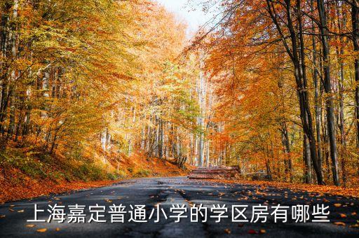 上海嘉定普通小学的学区房有哪些