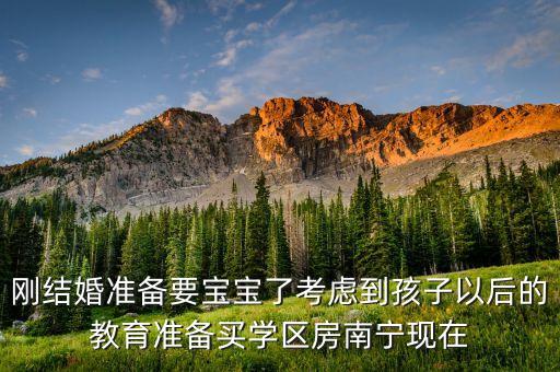 五塘哪个学区房最好，刚结婚准备要宝宝了考虑到孩子以后的教育准备买学区房南宁现在