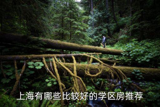 上海有哪些比较好的学区房推荐