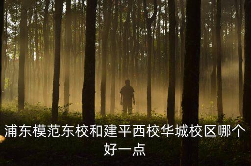 浦东模范东校和建平西校华城校区哪个好一点