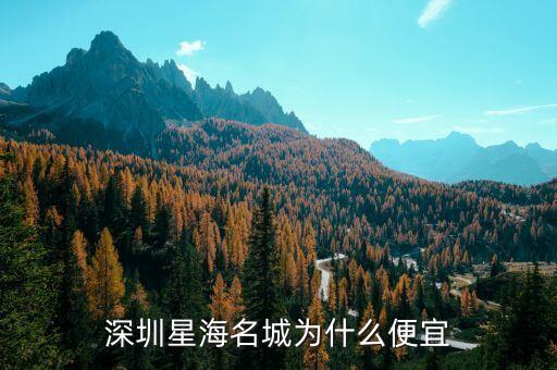 深圳星海名城为什么便宜