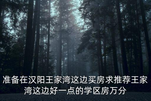 武汉学区房哪个好，汉阳有没有好点的学区房方便以后孩子上学的