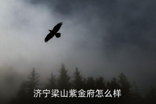 济宁学区房哪个环境好，济宁有哪些小区环境比较好