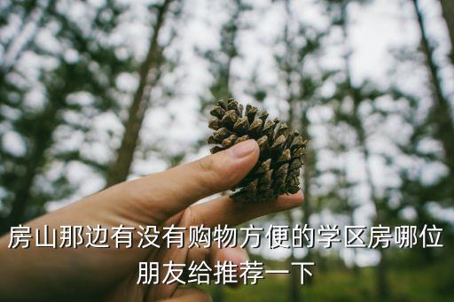 房山买哪个学区房好，有朋友给推荐一下北京周边的学区房孩子要上学了