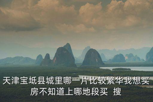 天津宝坻哪个城区学区房多，天津宝坻县城里哪一片比较繁华我想买房不知道上哪地段买  搜