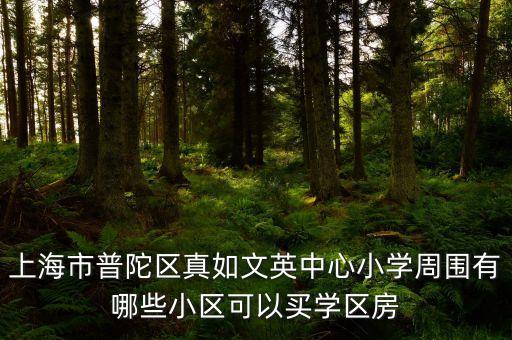 上海市普陀区真如文英中心小学周围有哪些小区可以买学区房
