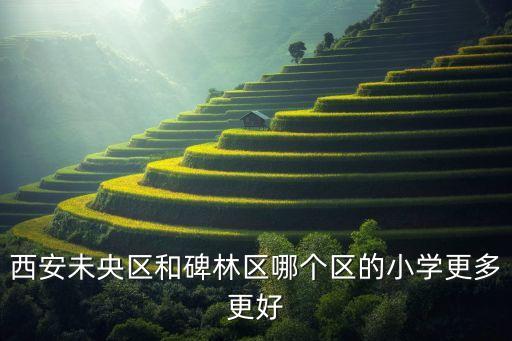西安学区房哪个区好，西安未央区和碑林区哪个区的小学更多更好
