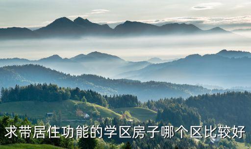 求带居住功能的学区房子哪个区比较好