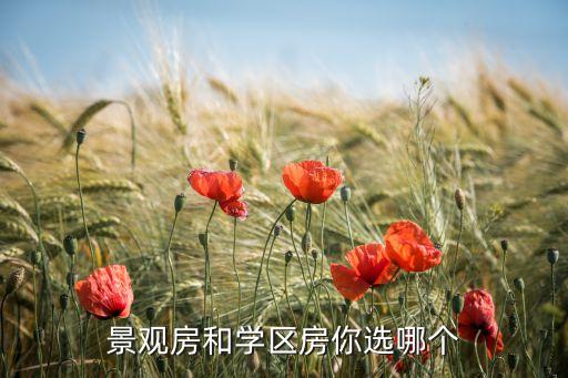 景观房和学区房你选哪个