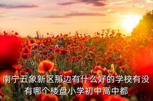 南宁五象新区那边有什么好的学校有没有哪个楼盘小学初中高中都