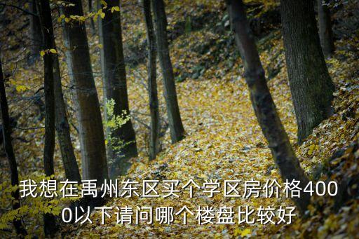 禹城学区房哪个楼盘好，我想在禹州东区买个学区房价格4000以下请问哪个楼盘比较好