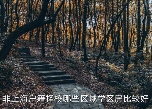 非上海户籍择校哪些区域学区房比较好