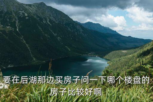 要在后湖那边买房子问一下哪个楼盘的房子比较好啊