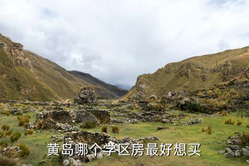 黄岛哪个学区房最好想买
