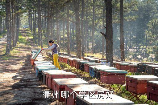 衢州哪个学区房好