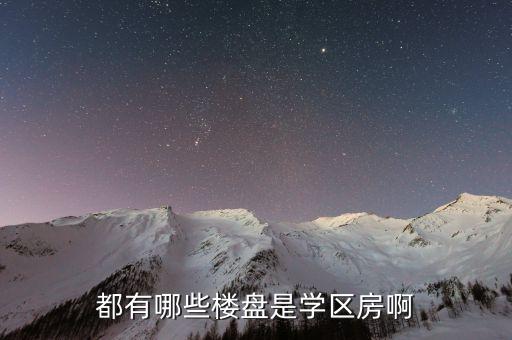 都有哪些楼盘是学区房啊