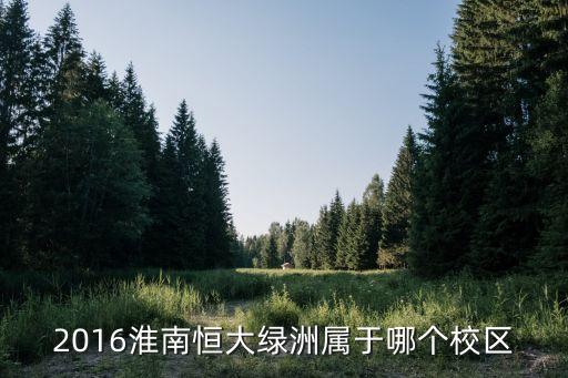 2016淮南恒大绿洲属于哪个校区