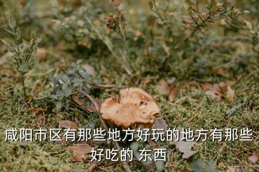 咸阳市区有那些地方好玩的地方有那些好吃的 东西