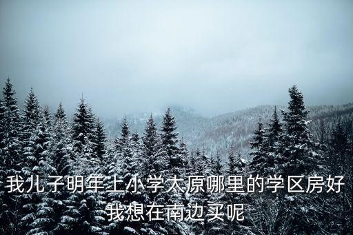 我儿子明年上小学太原哪里的学区房好我想在南边买呢