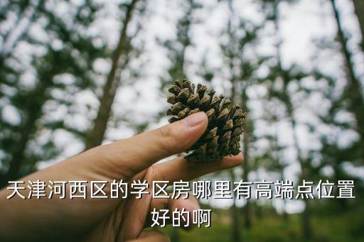 天津河西区的学区房哪里有高端点位置好的啊