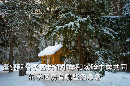 盘锦双台子区长征小学和实验中学共同的学区房有哪些急急急