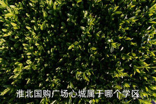 淮北国购广场心城属于哪个学区