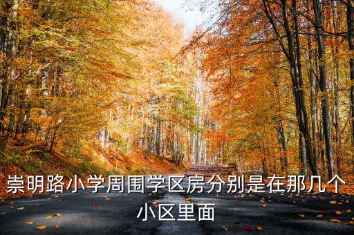 崇明路小学周围学区房分别是在那几个小区里面