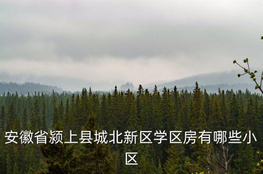 安徽省颍上县城北新区学区房有哪些小区