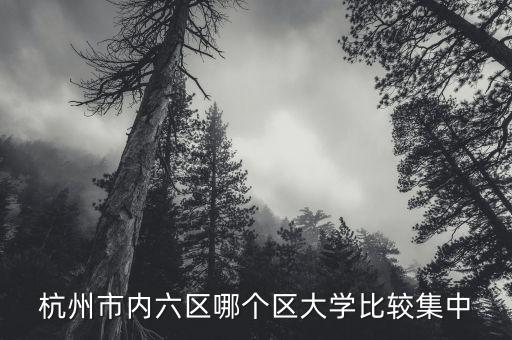 杭州市内六区哪个区大学比较集中