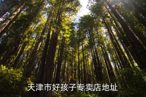 复兴庄北街学区房有哪些，想在菏泽买学区房帮忙推荐一下