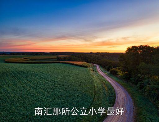 惠南小学和四中学区房哪个好，怎么为孩子选择学区房