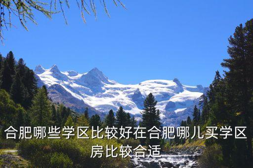 合肥哪些学区比较好在合肥哪儿买学区房比较合适