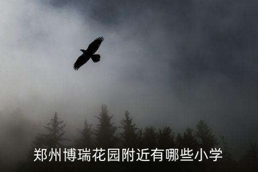 郑州博瑞花园附近有哪些小学