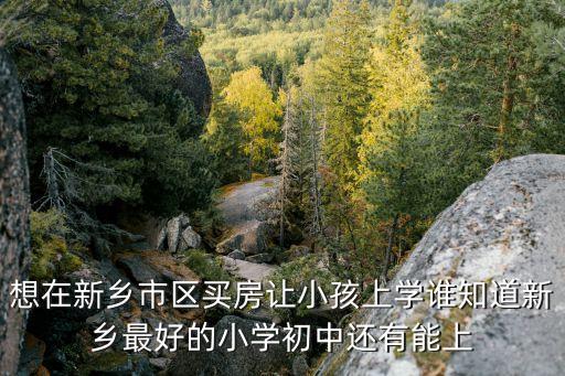 想在新乡市区买房让小孩上学谁知道新乡最好的小学初中还有能上