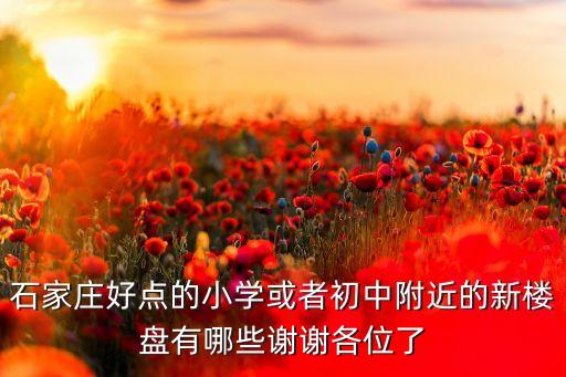 石家庄好点的小学或者初中附近的新楼盘有哪些谢谢各位了