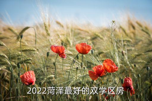 2022菏泽最好的双学区房